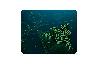  Goliathus Mobile, RAZER, Mouse Pad, Black/Green RZ02-01820200-R3M1.