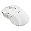  Signature M650 L, Logitech, Mouse, Bluetooth, Logi Bolt Bluetooth 4K dpi 5 Button 1xAA-20/24 month 111.2g, OFF WHITE.