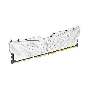NTSWD5P56DP-32W, Netac 32GB（16GBx2）Kit, DDR5-5600, C46, U-DIMM 288-Pin, White, 1Y 